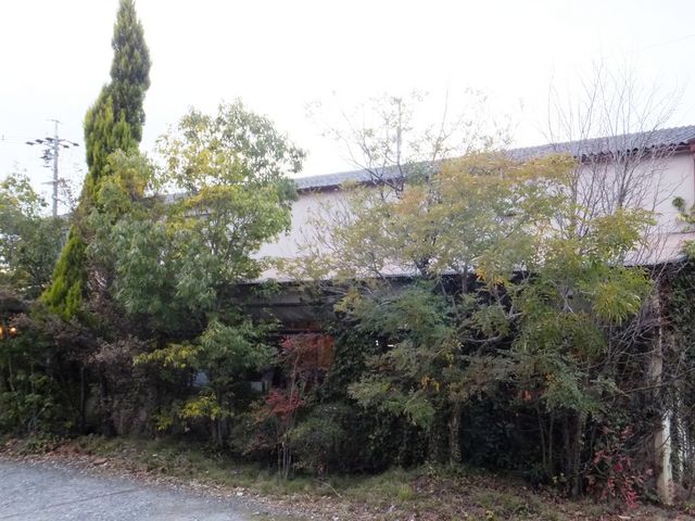 これだけを見てカフェだと確信できる人は少ないでしょうね。_つぐみカフェ
