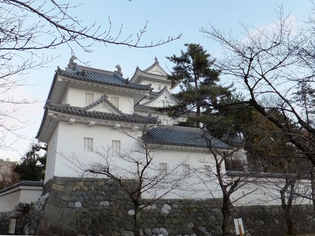 大垣公園から見た乾隅櫓と天守_大垣城