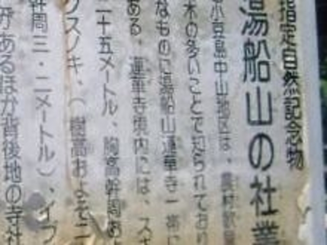 湯船山の社叢_湯船山の社叢
