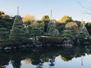 めのうさんの隅田公園(庭園)の投稿写真2