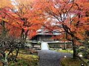 ギグスさんのしょうざん庭園の投稿写真1