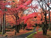 ギグスさんのしょうざん庭園の投稿写真1