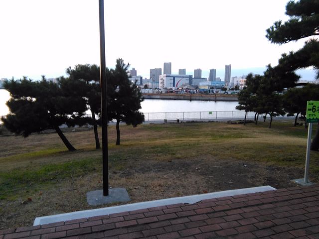 対岸は有明_新木場公園