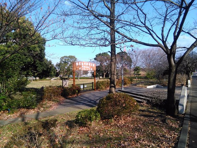 ここでバーベキューできます_新左近川親水公園