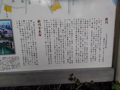 くまらさんの新川千本桜への投稿写真3