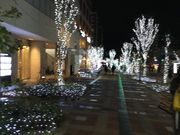 MOFさんの六本松421の投稿写真1