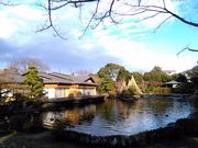 くまらさんの平成庭園の投稿写真1