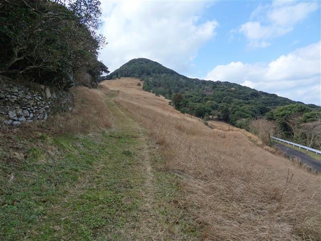 JOEさんの番岳遊歩道の投稿写真1