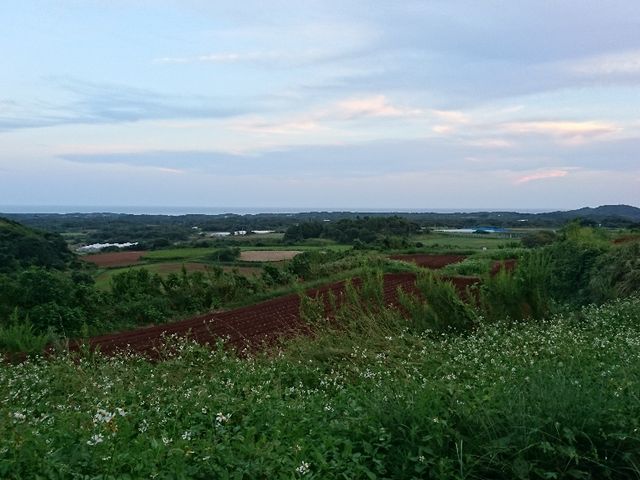 展望所途中からの景色_只狩山展望台