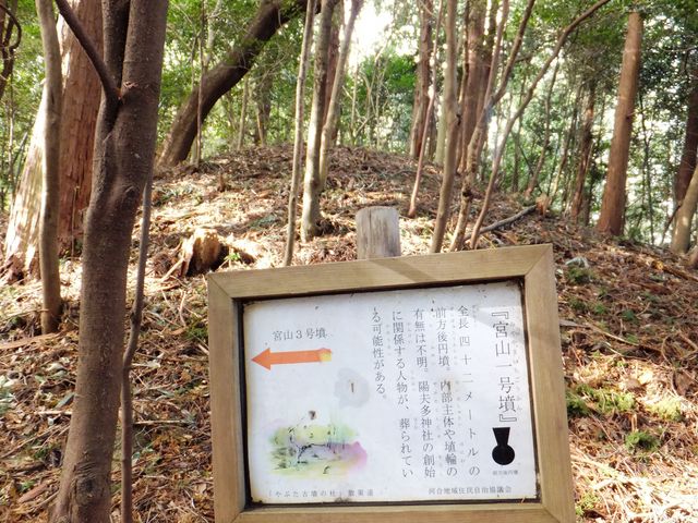 裏山の古墳群で一番大きな「宮山1号墳」:前方後円墳です。_陽夫多神社