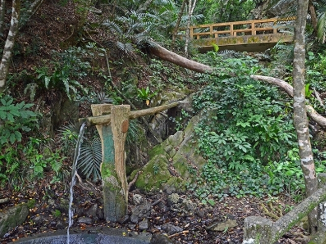 森林浴_ヨリアゲの森緑地公園