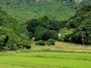 フルスピードさんの黒髪山県立自然公園の投稿写真1