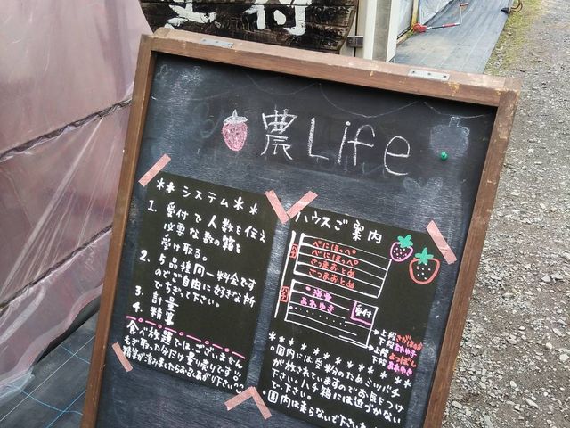 何人で行っても、合算で量り売りしてくれます_農Lifeいちごの村