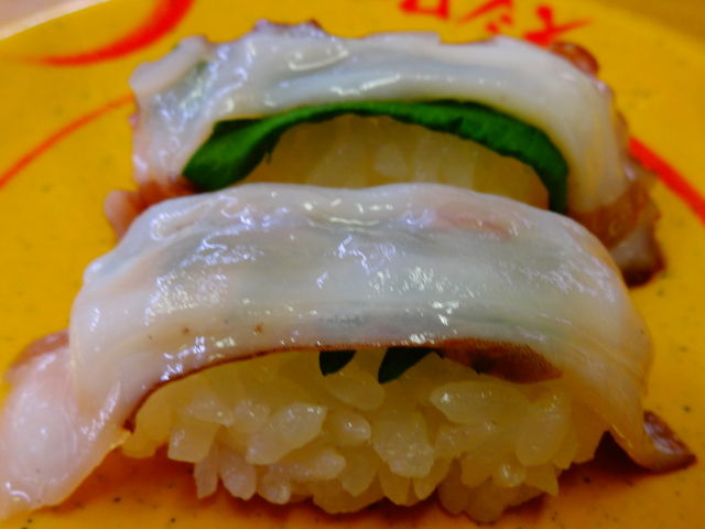 生たこ_スシロー 津山店