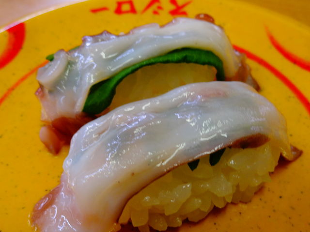 生たこ_スシロー 飯塚柏の森