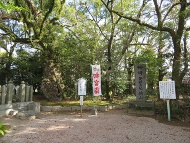 キヨさんの櫛田宮の投稿写真3