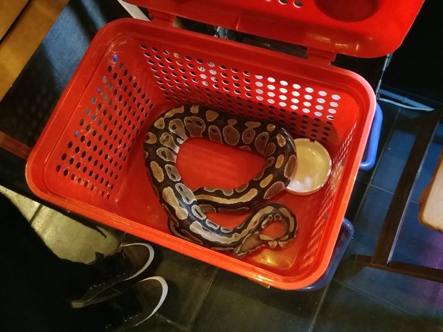 盛岡店7_ふくろうカフェ Ricky盛岡店