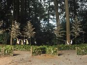 しちのすけさんの吉川八幡宮の投稿写真2