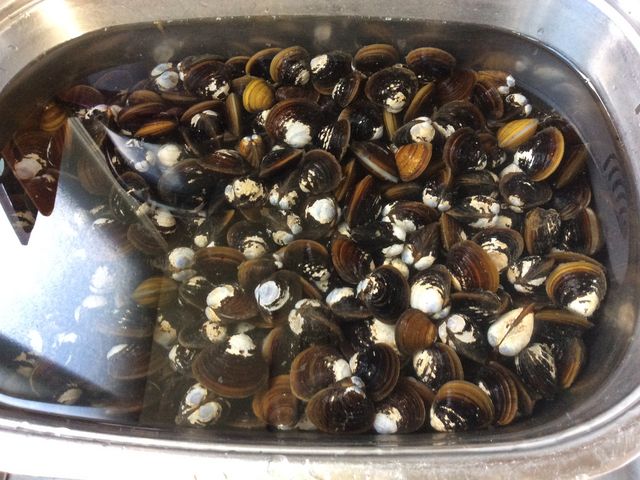 bloeさんの女満別野営場の投稿写真1