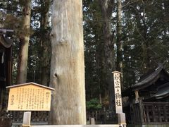 諏訪大社下社秋宮の写真2