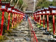 マックさんの貴船神社の投稿写真4