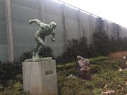 Kuda12さんの墨田区総合体育館の投稿写真1