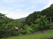 キヨさんの君ケ野ダム公園の投稿写真2