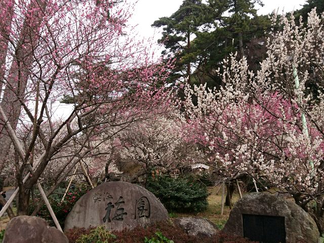 梅園入り口付近。_熱海梅園