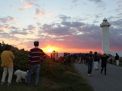 東平安名崎の写真1