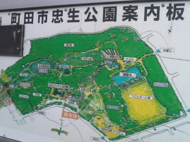 町田・忠生公園にやってきました_忠生公園