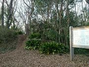 瑠璃蝶さんの狭山丘陵の都立公園「八国山緑地」の投稿写真1