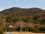 しちのすけさんの龍野公園の紅葉の投稿写真1