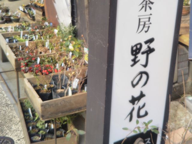 『茶房野の花』。_茶房野の花