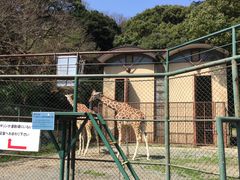 福岡市動植物園の写真1
