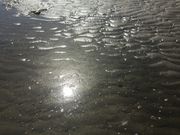 とうたんさんの香良洲海岸の投稿写真3