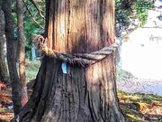 わたるっちさんの早池峯神社の投稿写真2