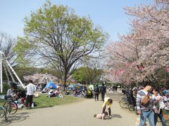 鶴亀松竹梅扇さんの名城公園への投稿写真1
