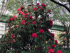 AKIさんの久屋大通庭園フラリエへの投稿写真1
