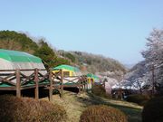 こぼらさんの岩倉峡公園キャンプ場の投稿写真5