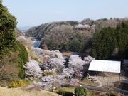 こぼらさんの岩倉峡公園キャンプ場の投稿写真7