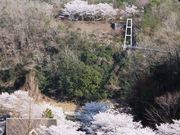 こぼらさんの岩倉峡公園キャンプ場の投稿写真8