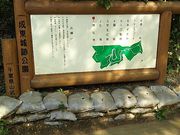 サーベルタイガーさんの成東城跡公園の投稿写真1