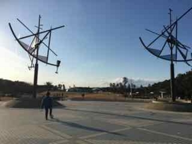 広々しています_神奈川県立辻堂海浜公園