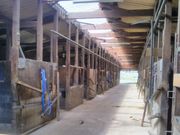 Happyさんの木曽馬の里 木曽馬乗馬センターの投稿写真1