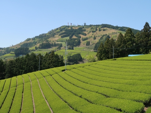 寅吉さんの粟ヶ岳の投稿写真1