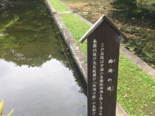 確かに堤です。_西湖の堤(小石川後楽園)