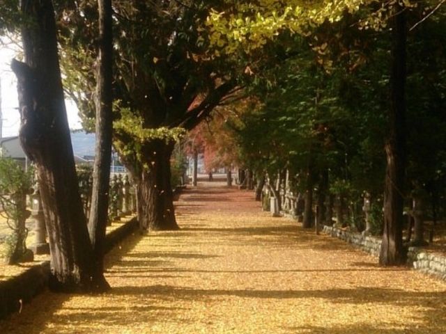積田神社_積田神社