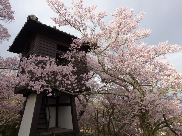 高遠城址公園 太鼓櫓