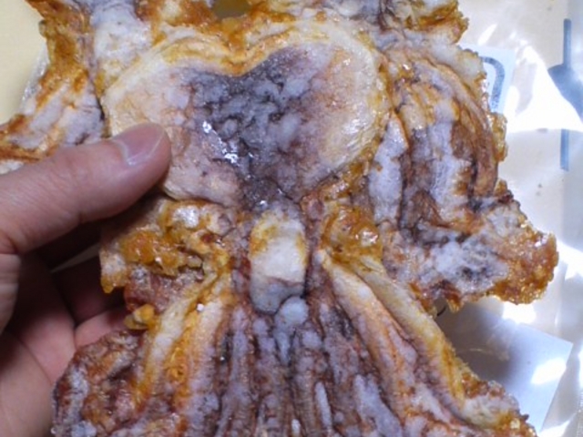 たこのぺったん焼き_えびせん家族