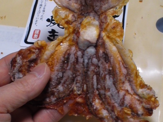 たこ_えびせん家族
